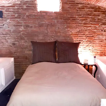 2 Bedrooms Hyper Quiet Pedestrian Historic Center Тулуза