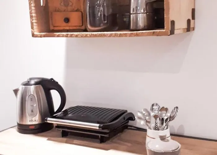 Apartment 2 Bedrooms Hyper Quiet Pedestrian Historic Center Toulouse